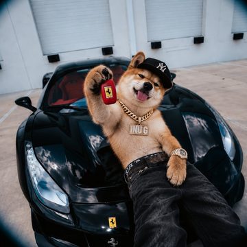 INU G: The garage
